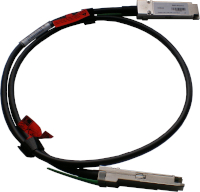 QSFP-Plus-Xm